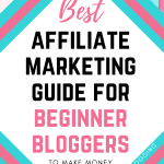 best affiliate marketing guide for beginner bloggers