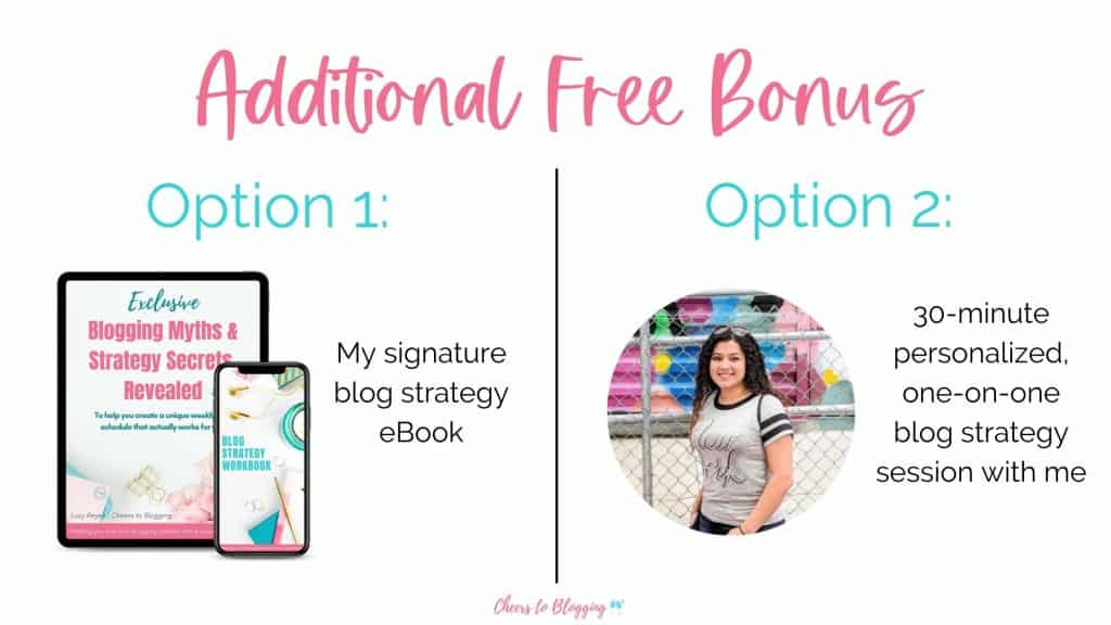 free bonus for purchasing the genius bloggers toolkit